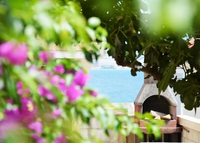 Laura Vir